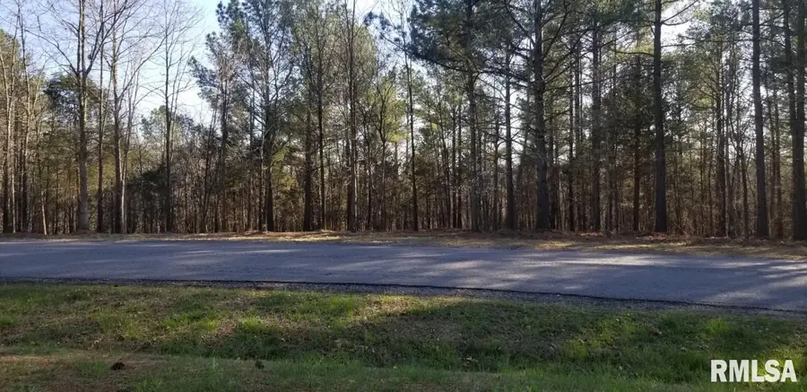 Lot 41 Luxor Landing Lane, Goreville, IL 62939 - Image #3