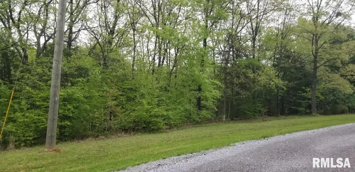 Lot 80 & 81 Saluki Way, Goreville, IL 62939 - Image #1