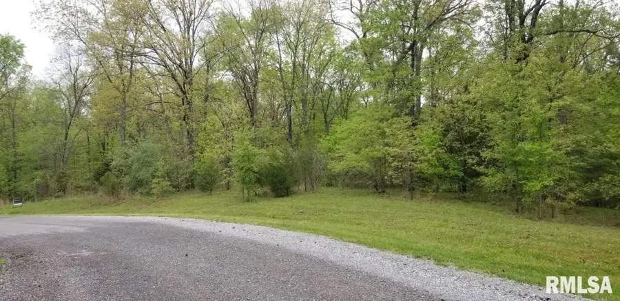 Lot 80 & 81 Saluki Way, Goreville, IL 62939 - Image #2