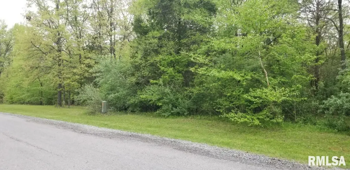 Lot 82 & 83 Saluki Way, Goreville, IL 62939 - #1