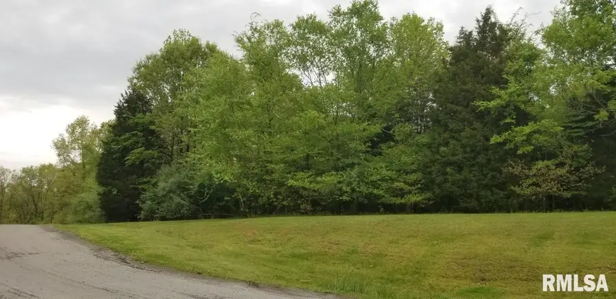Lot 82 & 83 Saluki Way, Goreville, IL 62939 - #3