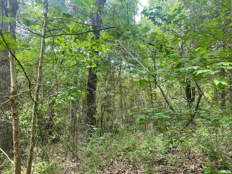 000 Knob Creek Road, Carbondale, IL 62903 - Image #2