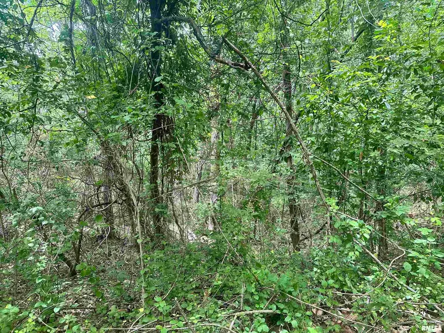 000 Knob Creek Road, Carbondale, IL 62903 - Image #3