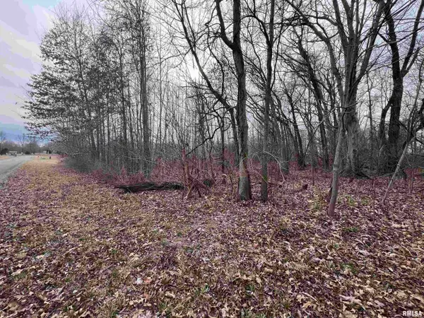 11 Choctaw Drive, Carbondale, IL 62901