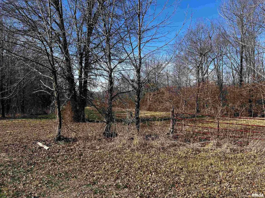 705 E Everett Street, Marion, IL 62959 - Image #3