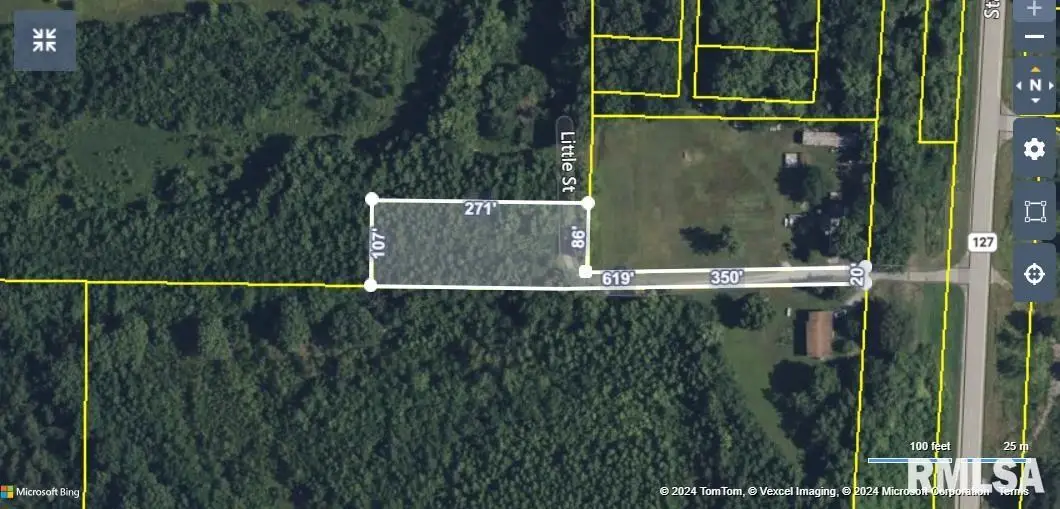 001 Little Street, Tamms, IL 62988 - #1