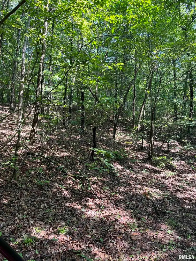 5504 Marion Road, Metropolis, IL 62960 - Image #3