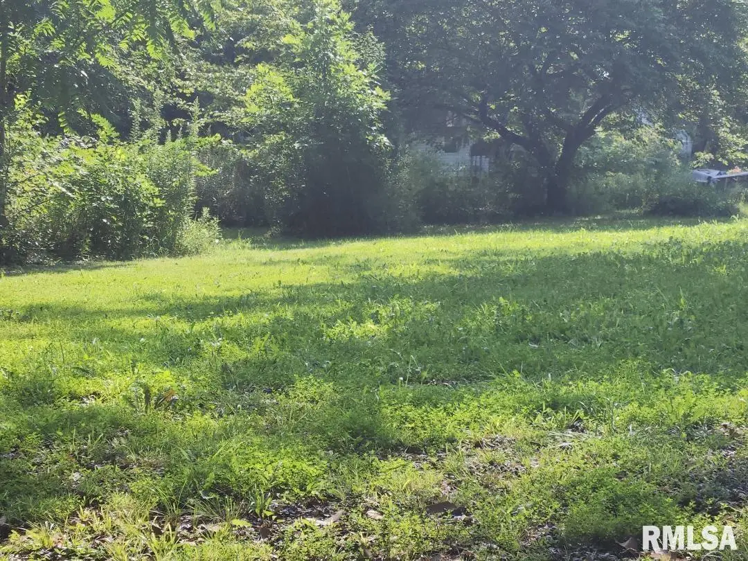 327 S Hickory Street, Centralia, IL 62801 - #1