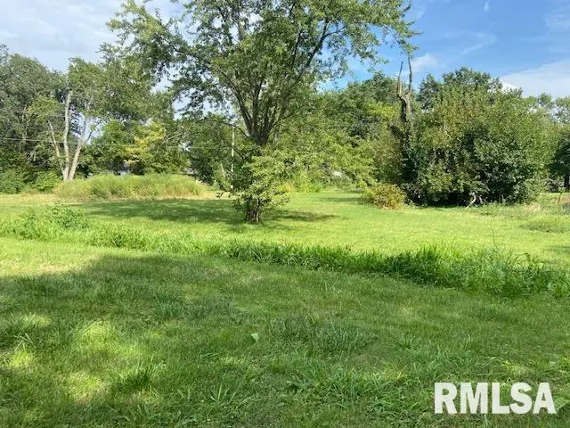 802 Joplin Street, Benton, IL 62812 - Image #2