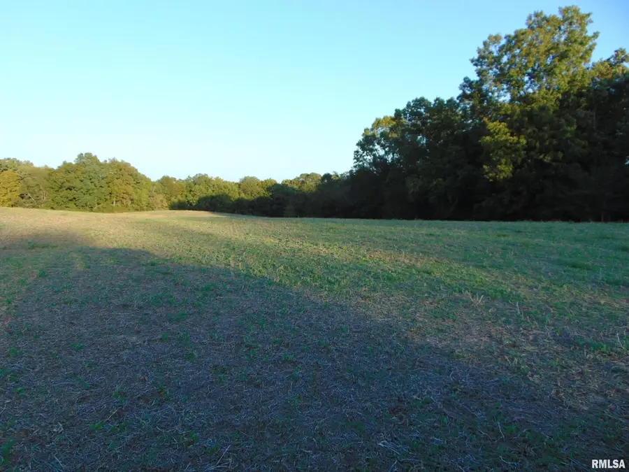 3048 Marlboro Road, Ava, IL 62907 - Image #3