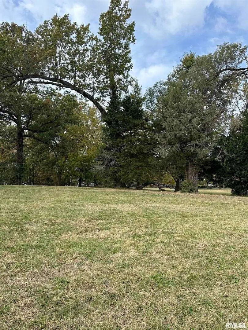 1223 S Washington Street, Du Quoin, IL 62832 - Image #1