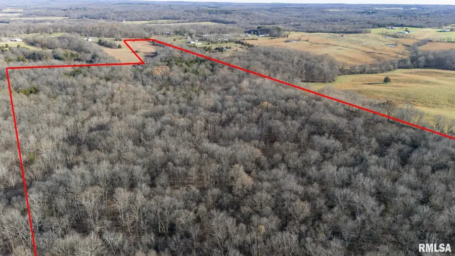 000 Route 166 Route, Creal Springs, IL 62922 - Image #3