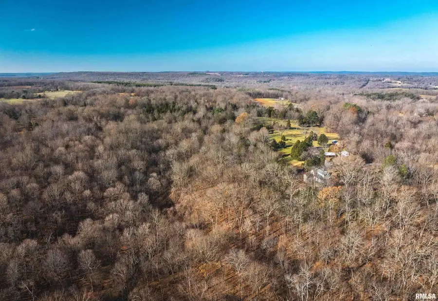 1600 Albert Street, Golconda, IL 62938 - #2