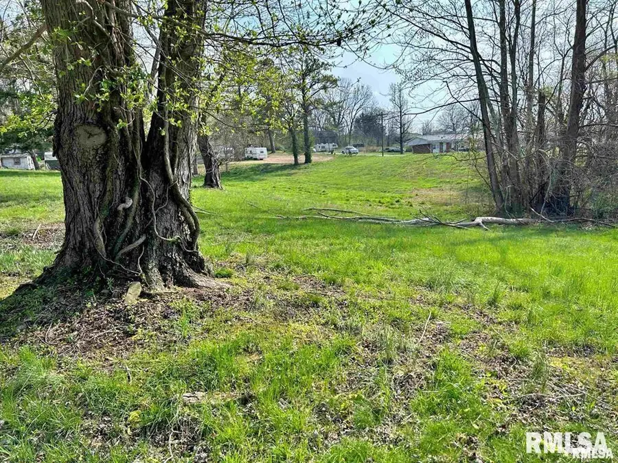 00 Lewis Street, Golconda, IL 62938 - Image #2