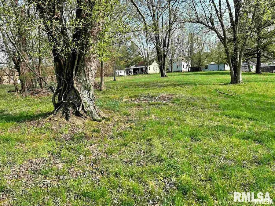 00 Lewis Street, Golconda, IL 62938 - Image #3