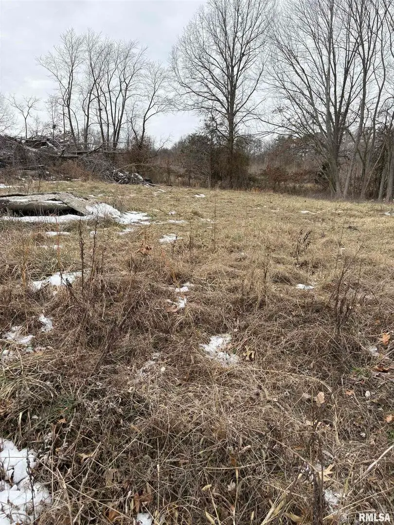 909-911 S Wilson Street, Benton, IL 62812 - Image #2