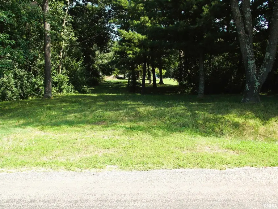 3373 Rainier Lane, Centralia, IL 62801 - Image #3