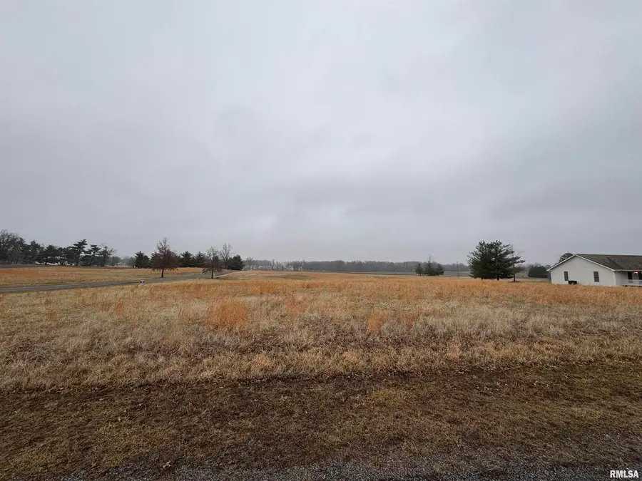 Lot 12 Dove Lane, Eldorado, IL 62930 - Image #3