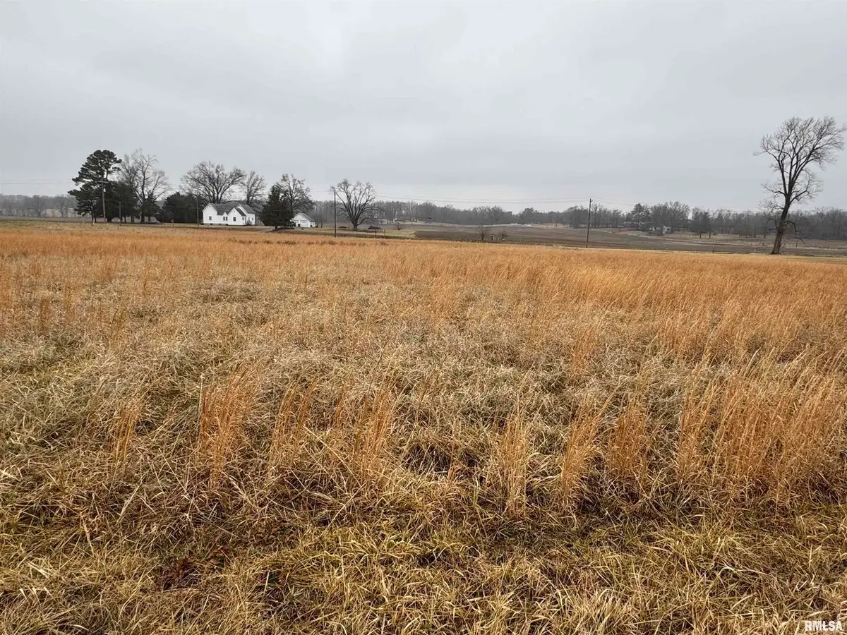 Lot 6 Dove Lane, Eldorado, IL 62930 - #1