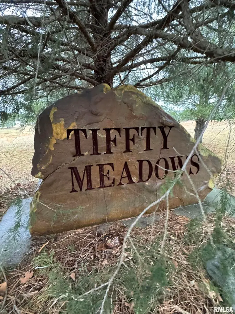 Lot 6 Dove Lane, Eldorado, IL 62930 - #3