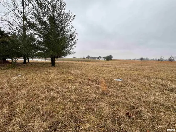 Lot 1&2 Raleigh Road, Eldorado, IL 62930