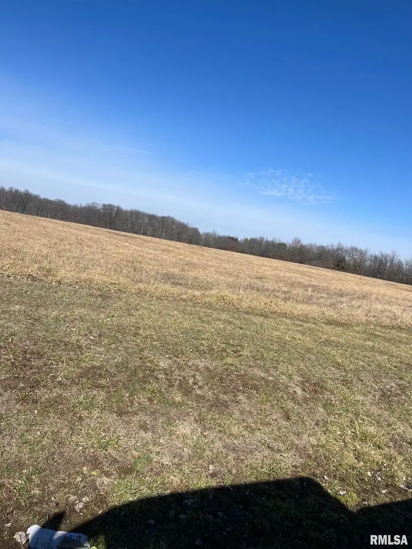 17225 Akin Blacktop Blacktop, Benton, IL 62812 - Image #2