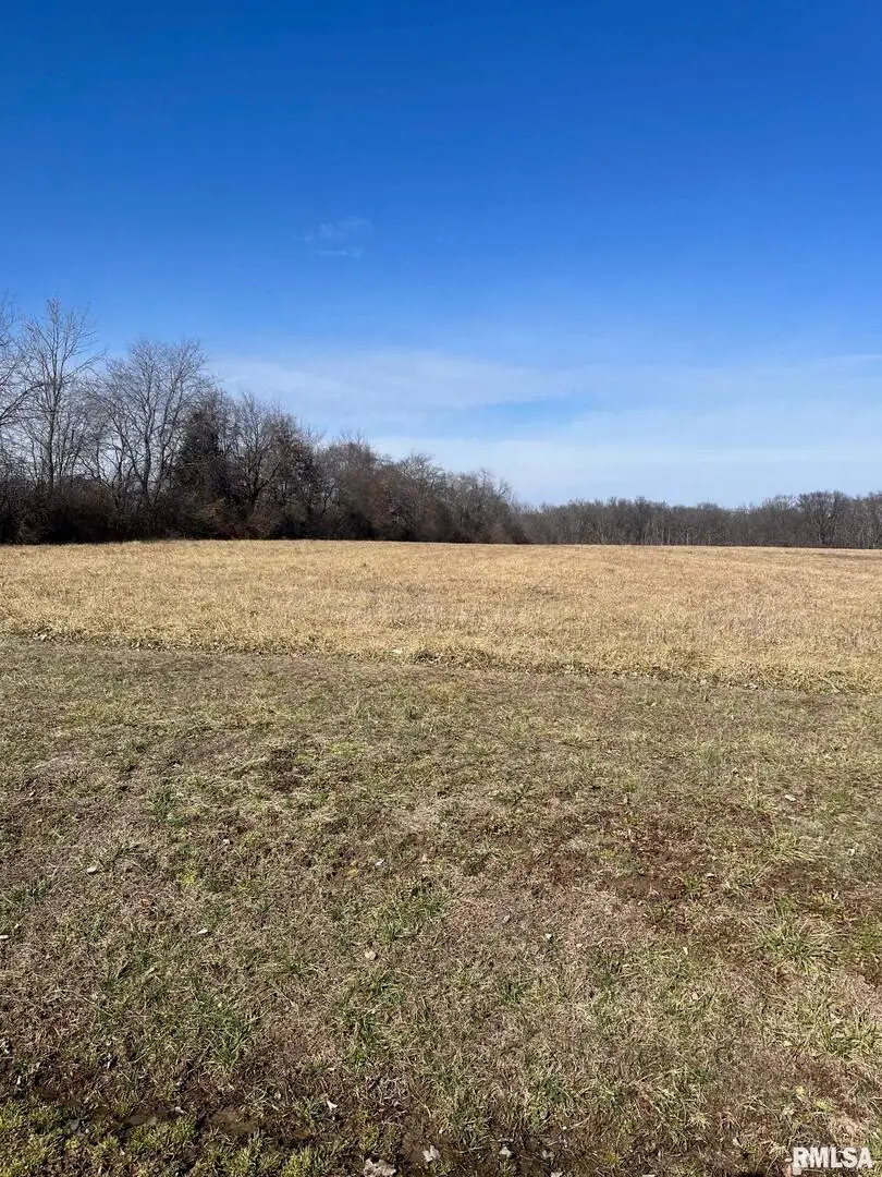 17225 Akin Blacktop Blacktop, Benton, IL 62812 - Image #3