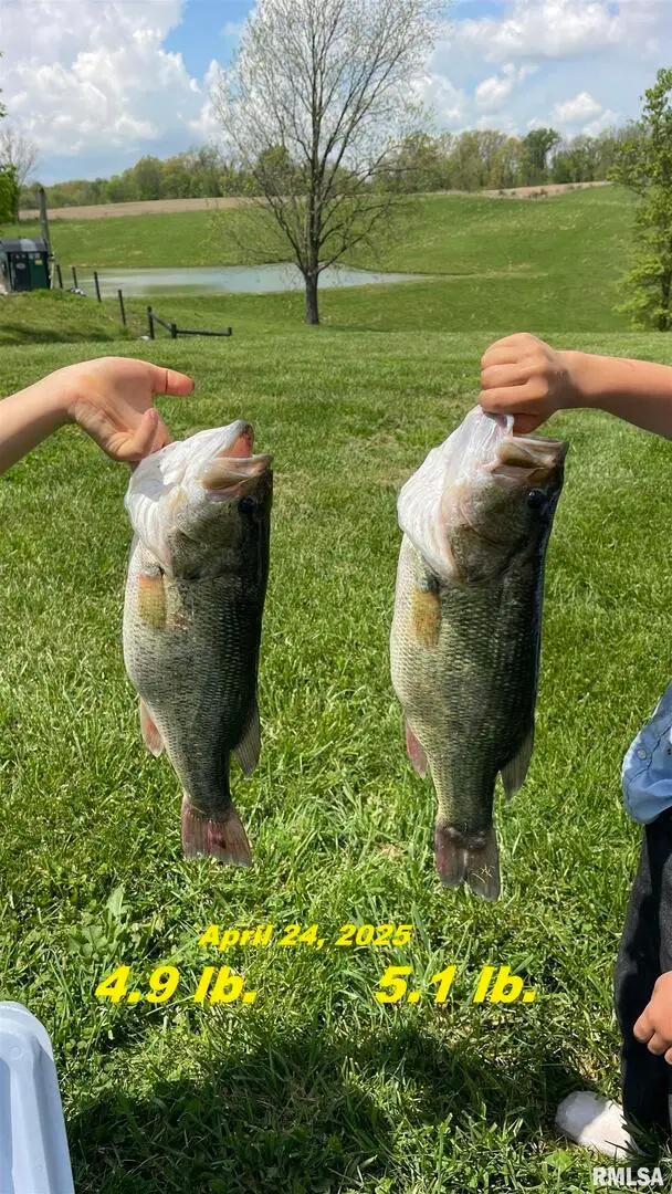 1548 Koehn Road, Ava, IL 62907 - Image #2