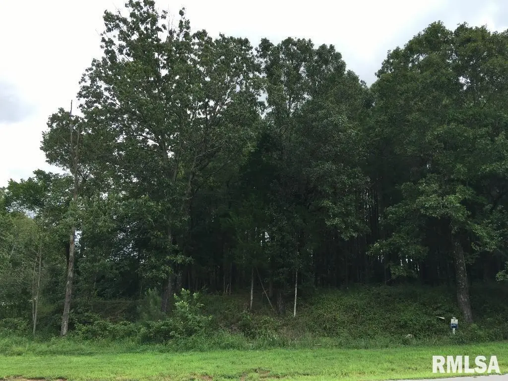 lot 287 Parrish Ridge Lane, Goreville, IL 62972 - Image #1