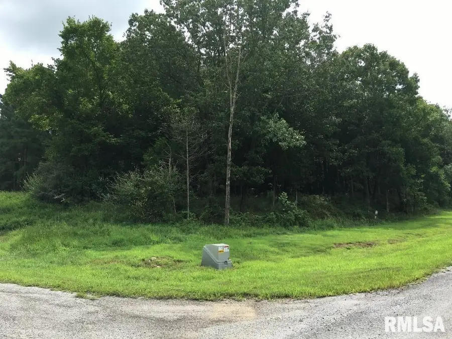 lot 287 Parrish Ridge Lane, Goreville, IL 62972 - Image #2