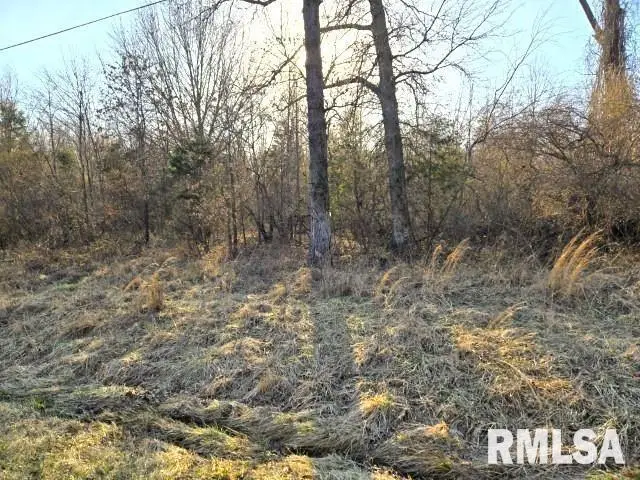 0000 N Stone Lane, Mount Vernon, IL 62864 - Image #3