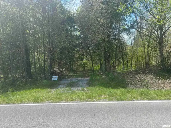 Lots 1 & 2 Grassy Road, , IL 62901