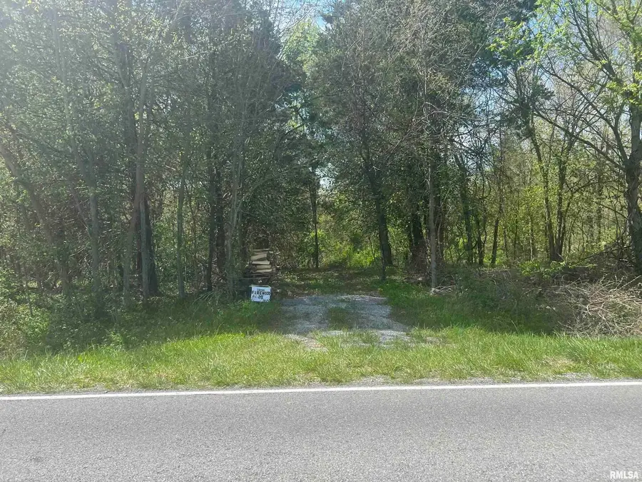 Lots 1 & 2 Grassy Road, Carbondale, IL 62901 - #3