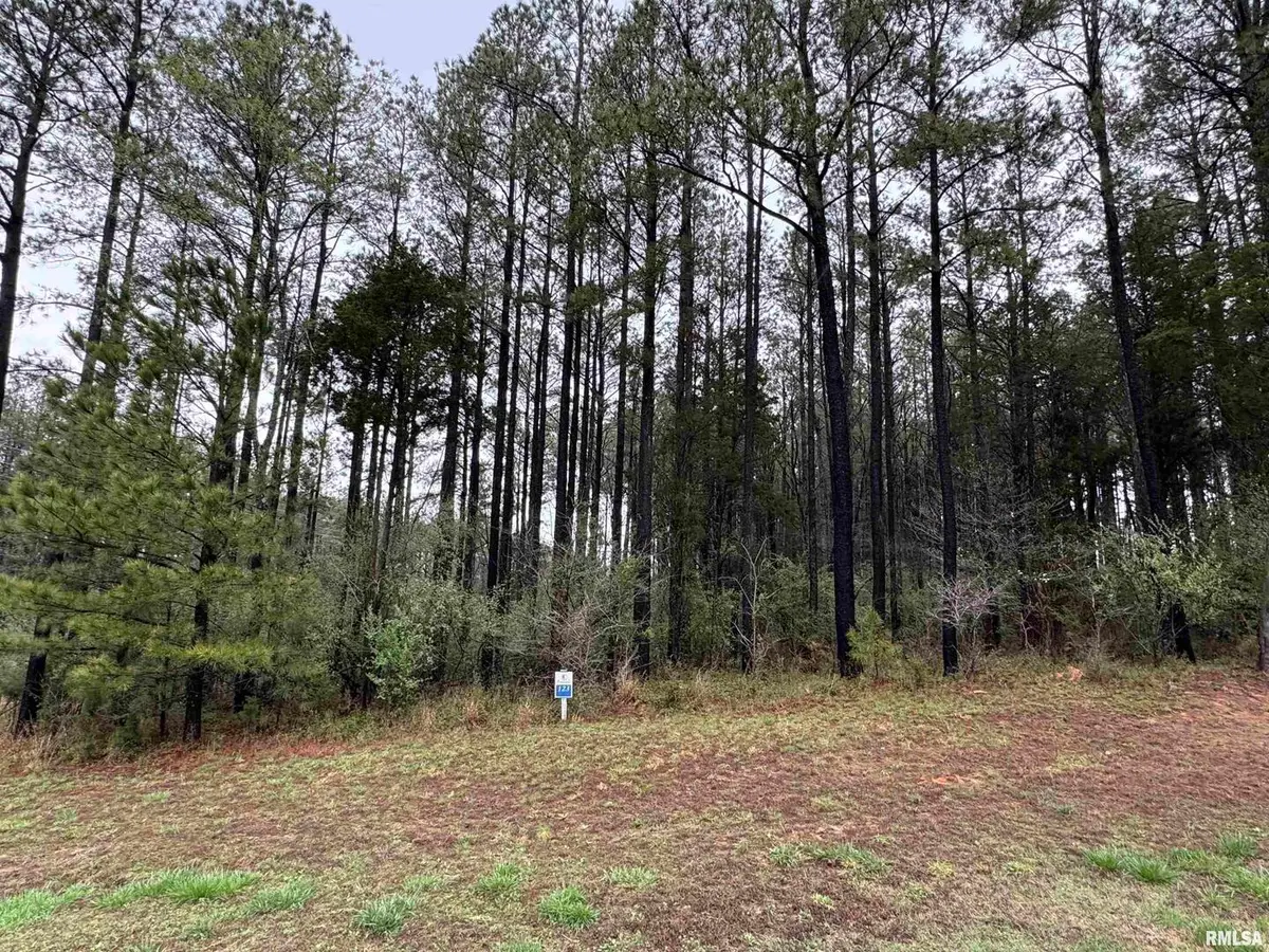 LOT 122&123 Deer Lane, Goreville, IL 62939 - Image #1