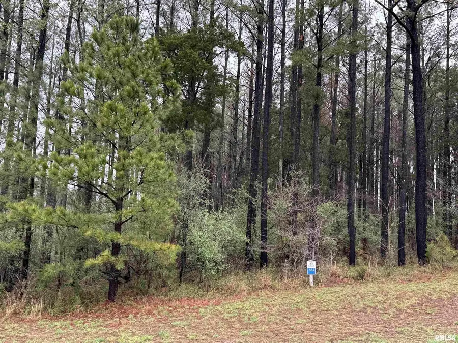 LOT 122&123 Deer Lane, Goreville, IL 62939 - Image #2