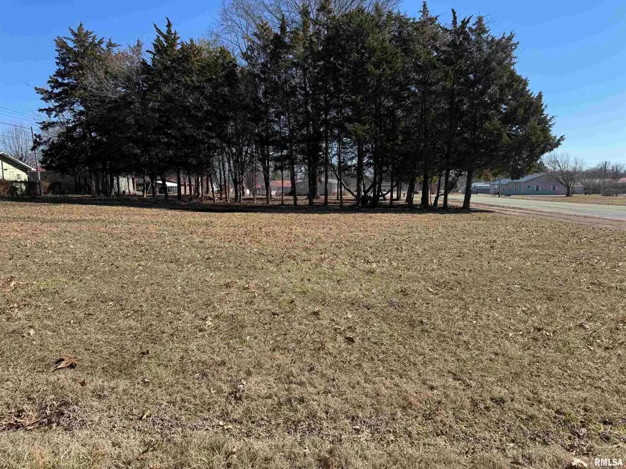 0000 Main Street, Valier, IL 62891 - Image #2