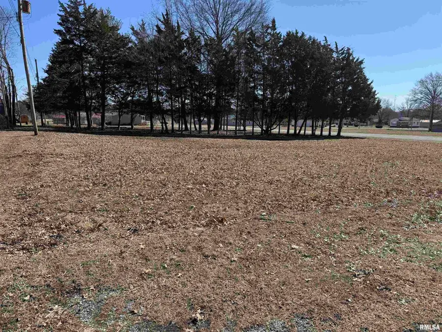 0000 Main Street, Valier, IL 62891 - Image #3