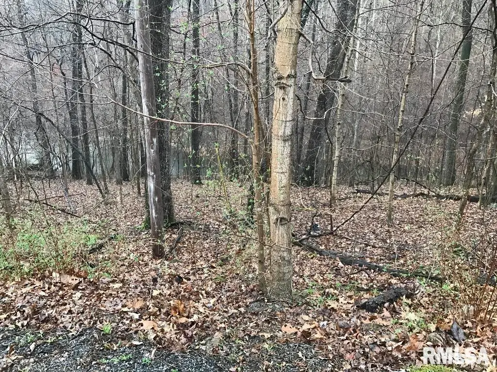 00 Deer Ridge Road, Goreville, IL 62939 - Image #1