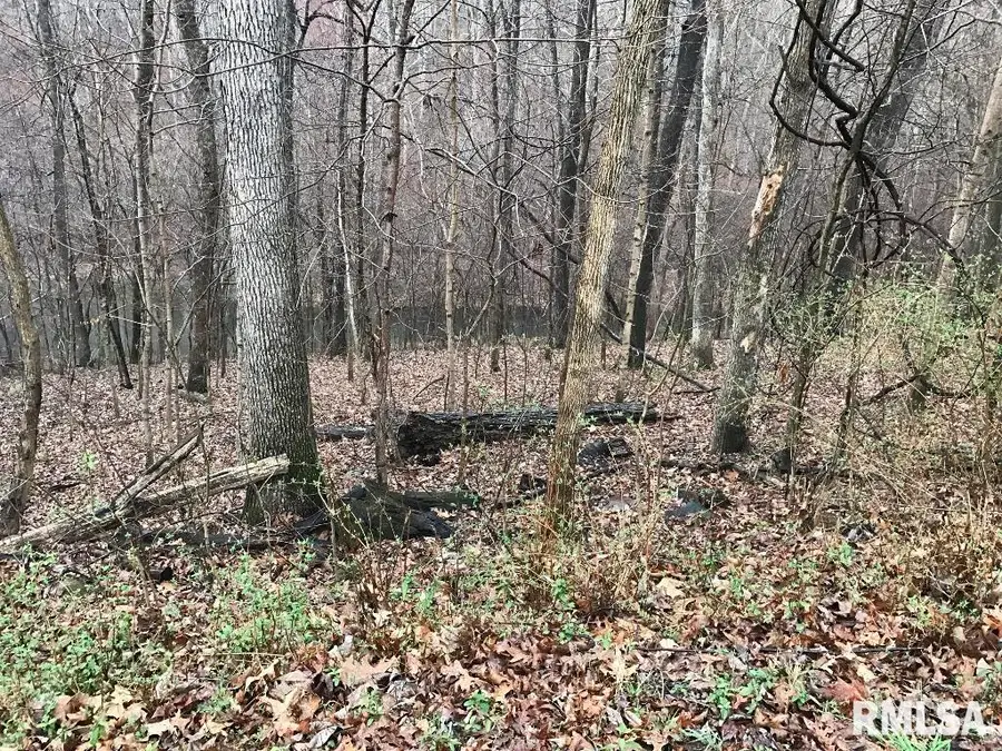 00 Deer Ridge Road, Goreville, IL 62939 - Image #2