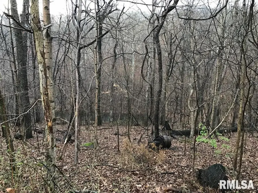 00 Deer Ridge Road, Goreville, IL 62939 - Image #3