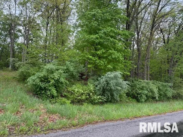 TBD Country Club Road, Marion, IL 62959 - Image #2