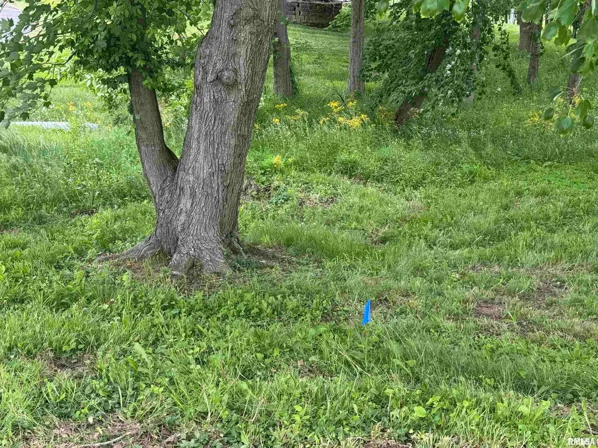 000 W Douglas Street, Marion, IL 62959 - Image #1