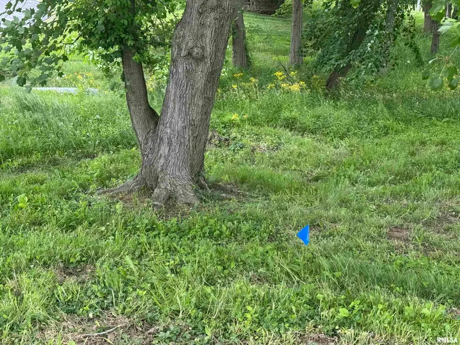 000 W Douglas Street, Marion, IL 62959 - Image #2