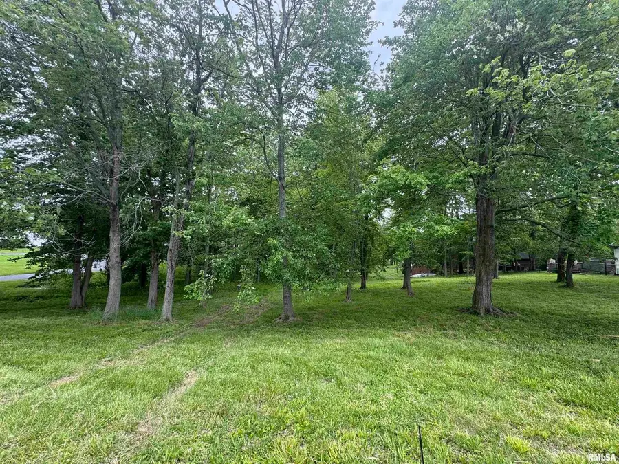 000 W Douglas Street, Marion, IL 62959 - Image #3