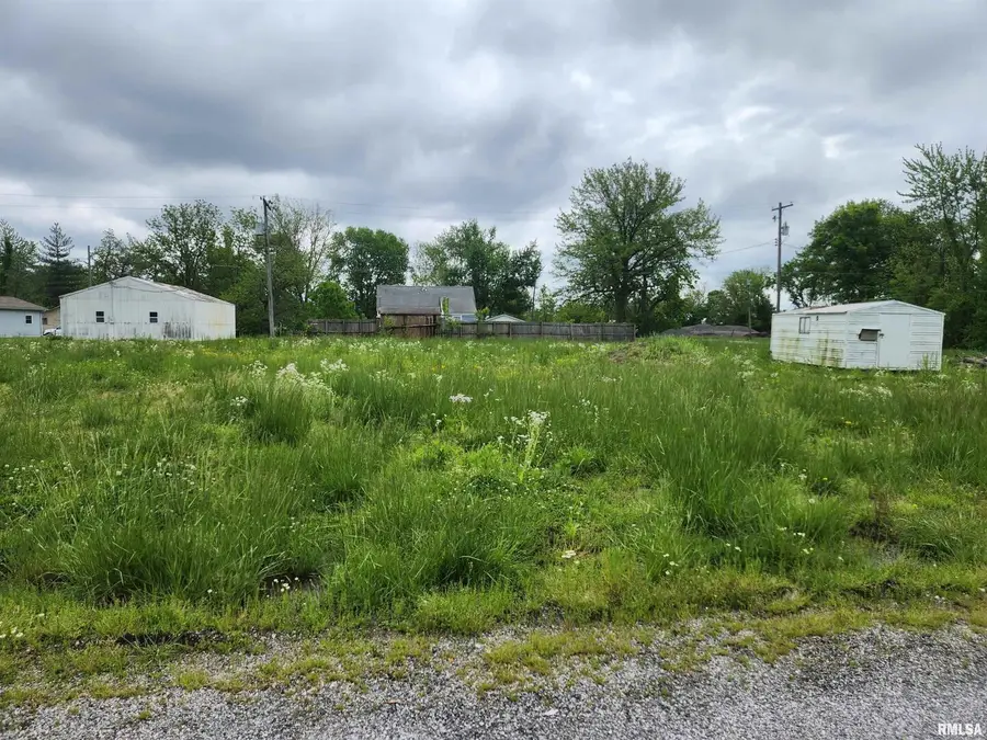 64 S 2nd Street, Ashley, IL 62808 - #3