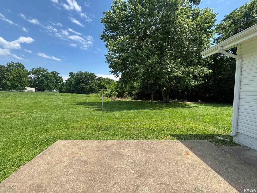 208 Dorris Drive, Metropolis, IL 62960 - #3