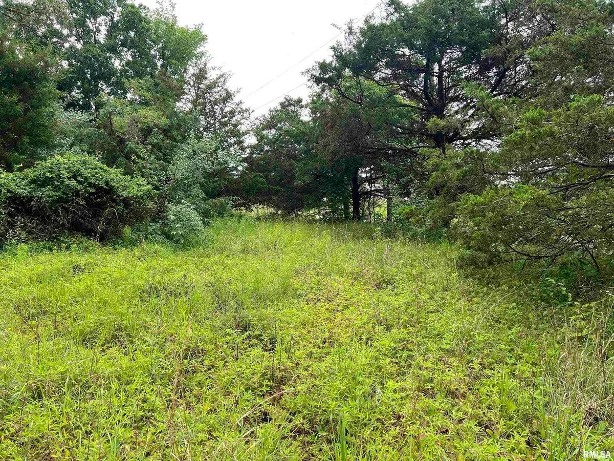 Lot 211 Cherokee Drive, Goreville, IL 62939 - Image #1