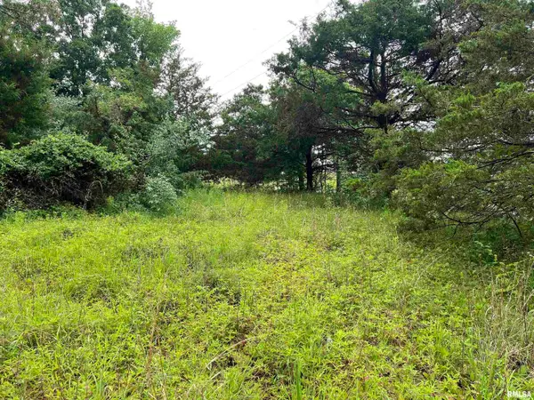 Lot 211 Cherokee Drive, Goreville, IL 62939