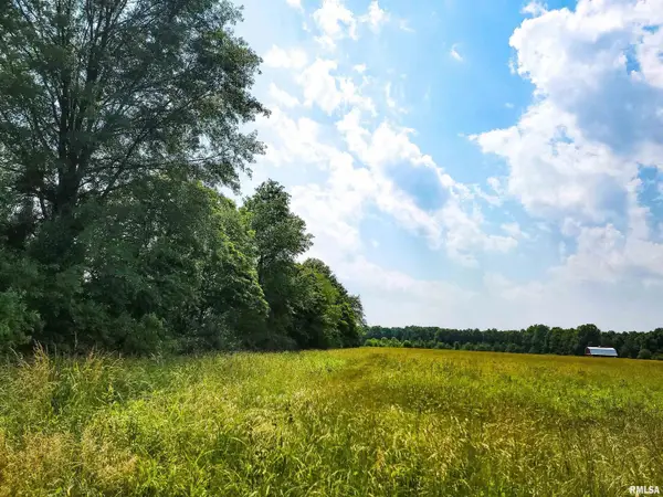 199 Hanging Rock Road, Flora, IL 62839-0000