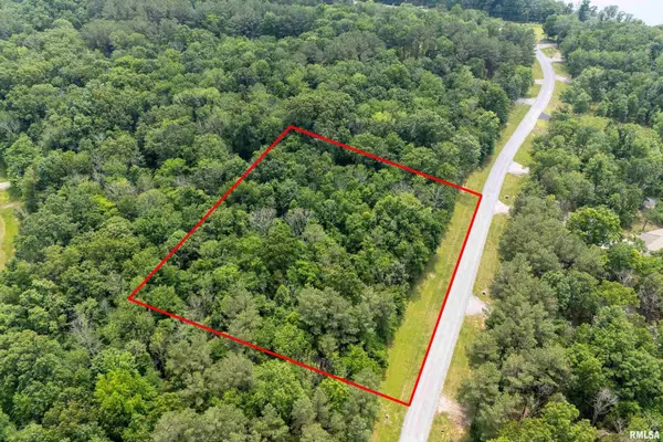 lot 411-412 Parrish Ridge Road, Goreville, IL 62939